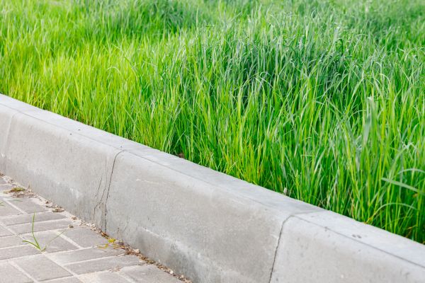 Cost of Concrete Curb Repair in Brownsburg