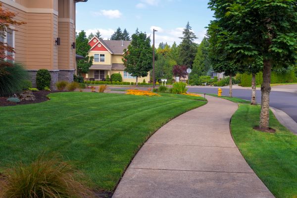 Cost of Sidewalk Patching in Brownsburg